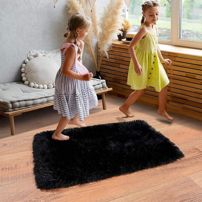 Dssimo Black Rug for Bedroom, 2x3 Small Area Rugs, | Soft Fluffy Shag Non-Slip Carpet for Kids,Girls Boys and Teens Decorations for Living Room Dorm Nursery Classroom