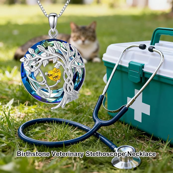 Birthstone Veterinary Stethoscope Necklace 925 Sterling Silver Nurse Vet Pendant with Dog Paw Nurse Jewelry Gifts for Veterinarian Nurse Women Veterinarian Gifts