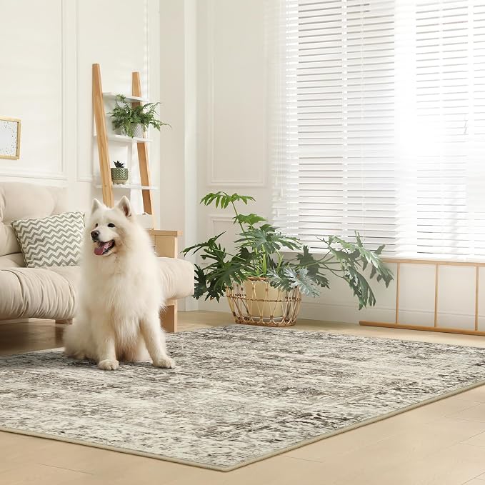 Lahome Margot Washable Rug 6x9 Beige Area Rugs for Living Room,Boho Soft Room Rugs for Bedroom Indoor Carpet,Vintage Non-Slip Low-Pile Accent Rugs Dining Room Office Playroom(6 x 9,Beige)