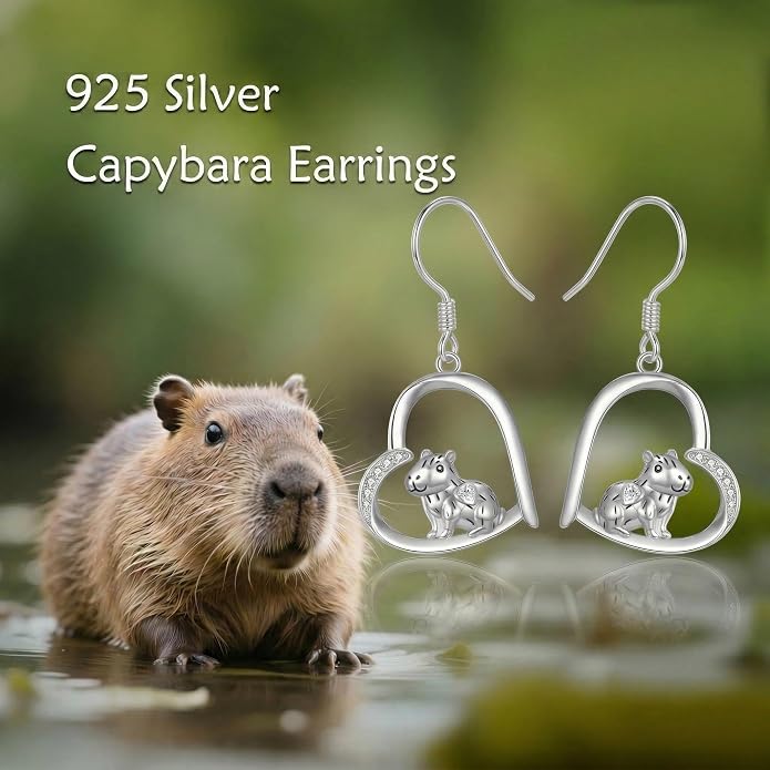 Butterfly/Paw Print/Highland Cow/Cat/Dog/Hummingbird/Dragonfly Earrings 925 Sterling Silver Animal Hypoallergenic Drop Dangle Earrings Animal Valentine's Day Jewelry for Women