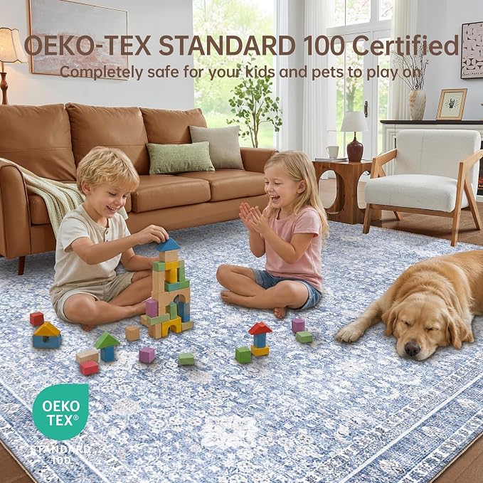 Sasttie 4x6 Area Rug, Ultra-Soft Washable Rug, Low Pile Foldable Thin Carpets with Non-Slip Backing, Skin-Friendly Stain Resistant Carpet for Living Room, Bedroom, Kitchen, Dorm, 4x6, Light Blue