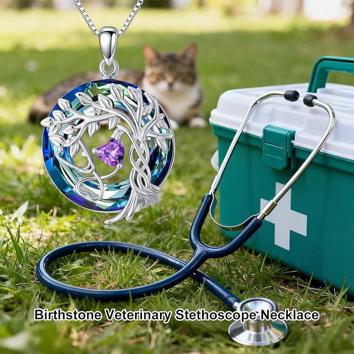 Birthstone Veterinary Stethoscope Necklace 925 Sterling Silver Nurse Vet Pendant with Dog Paw Nurse Jewelry Gifts for Veterinarian Nurse Women Veterinarian Gifts