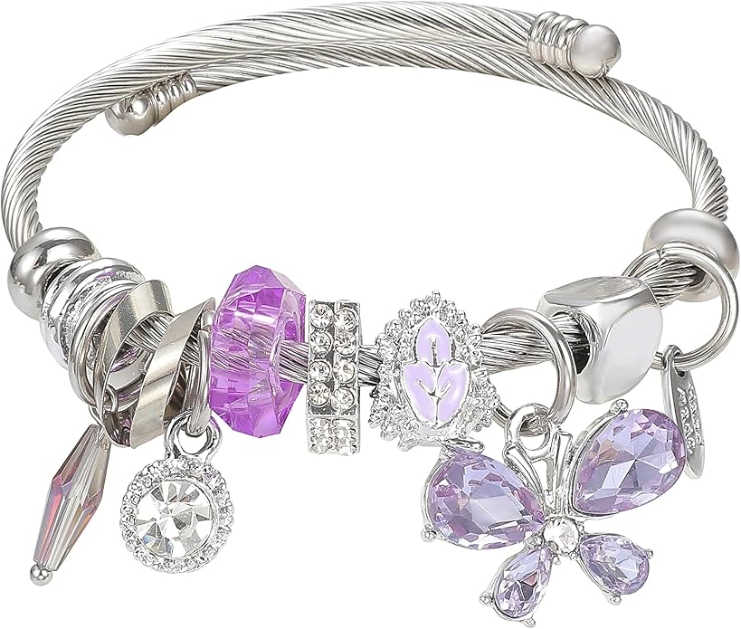 DS Charm Bracelets for girls,exquisite cute cartoon friendship bracelets Silver Stainless Steel Bangle with birthday Gift box, Adjustable girls jewelry Suitable for holiday gifts