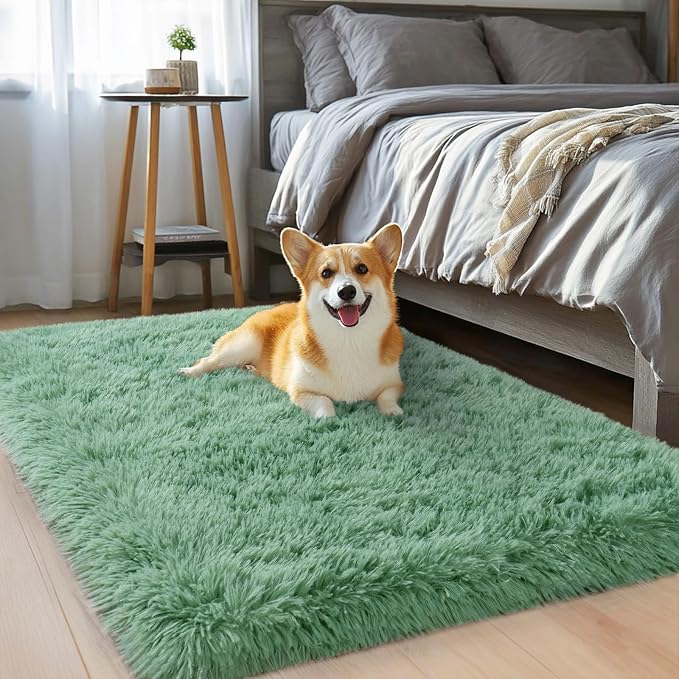 qulint Sage Green Rug for Bedroom, 2x3 Fluffy Area Rugs for Living Room | Shag Fuzzy Small Carpet, Soft Shaggy Alfombras for Besides Kids Boys and Girls Dorm Nursery Classroom Home Decor