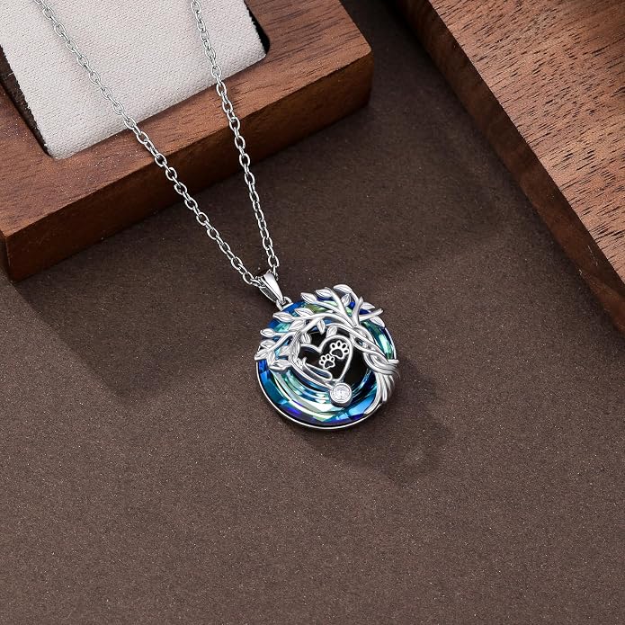 Birthstone Veterinary Stethoscope Necklace 925 Sterling Silver Nurse Vet Pendant with Dog Paw Nurse Jewelry Gifts for Veterinarian Nurse Women Veterinarian Gifts