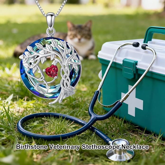 Birthstone Veterinary Stethoscope Necklace 925 Sterling Silver Nurse Vet Pendant with Dog Paw Nurse Jewelry Gifts for Veterinarian Nurse Women Veterinarian Gifts