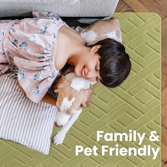 Macgace Ultra Soft Green Area Rug for Bedroom, 4x6 Modern Geometric Shag Rugs with Nonslip Backing for Living Room, Washable Fuzzy Carpet for Cozy Kids Room