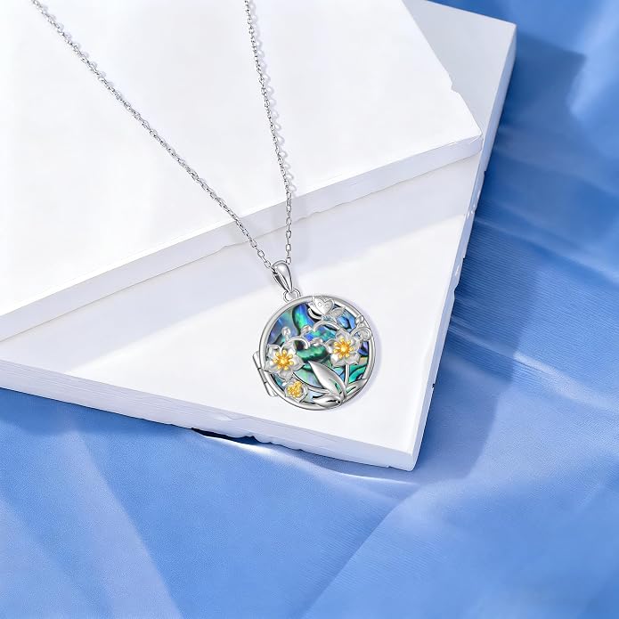Dorunmo Personalized Locket Necklace 925 Sterling Silver that Holds Pictures Butterfly Birthstone Photo Heart Locket Custom Jewelry Congratulations New Beginnings New Job Gifts for Women