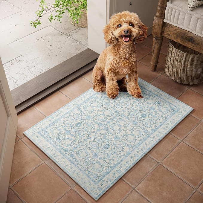 Machine Washable Entryway Small Area Rugs: Soft Non-Slip Low Pile Door Mat Indoor Entrance 2x3 ThrowRug for High-Traffic Areas Kitchen, Hallway, Farmhouse Decor
