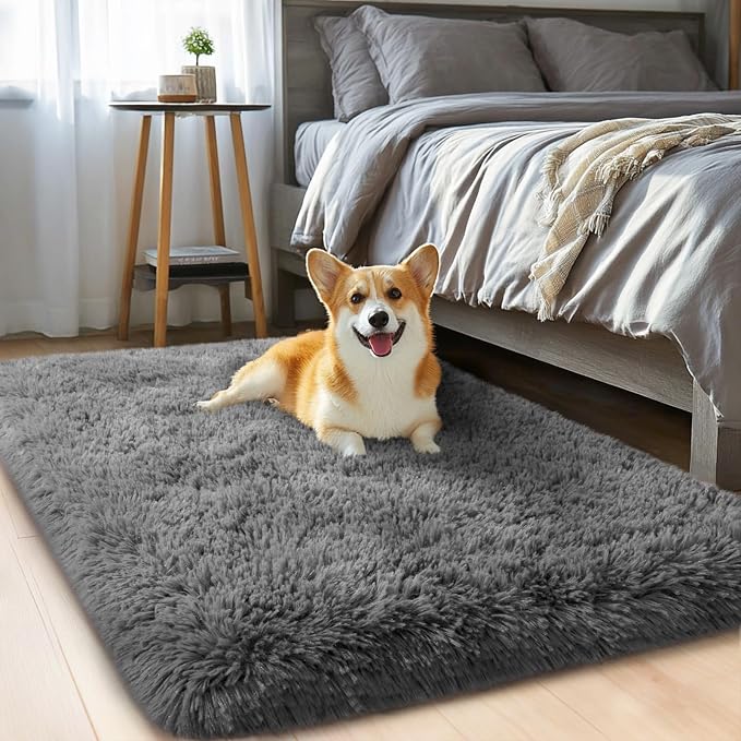 qulint 2x3 Small Rug for Bedroom, Dark Grey Shag Fuzzy Rug for Living Room | Shaggy Boys Room Rug, Plush Fluffy Modern Alfombras for Nursery Dorm Kid Room Classroom Home Decor