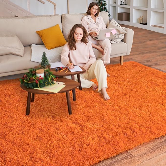 Dssimo Orange Rug for Bedroom Living Room, 6x9 Soft Shaggy Area Rugs | Large Plush Fluffy Upgrade Non-Slip Burnt Orange Rug for Nursery Kids Room Dorm Room Home Decor, Indoor Plush Floor Carpet