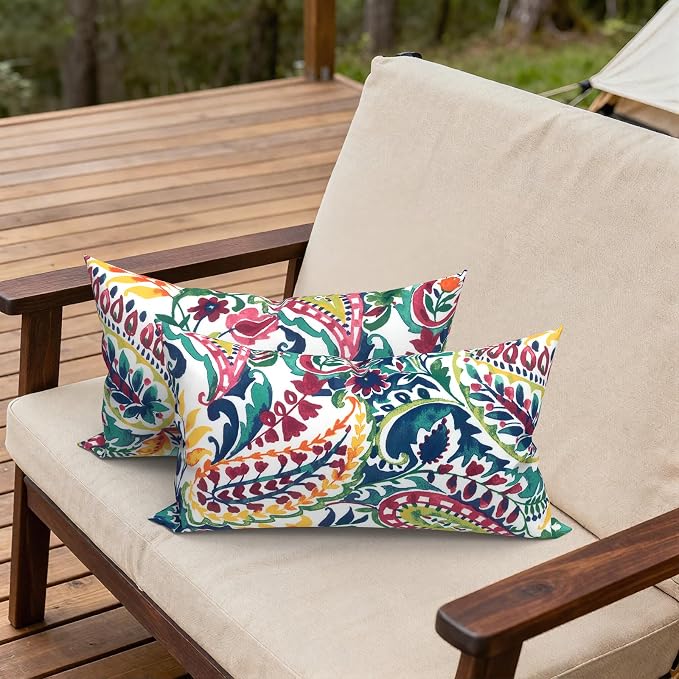 Outdoor Lumbar Pillows, Water Repellent Cushion Pillows 12x20 Inch, Outdoor Pillows with Inserts for Home Garden, Pack of 2, Vigour Paisley