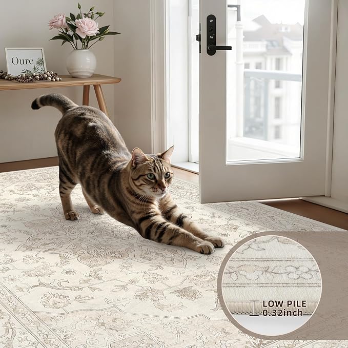 4x6 Area Rugs for Living Room: Vintage Boho Neutral Washable Rug Indoor Soft Large Area Rug Carpet for Bedroom Nursery Farmhouse Dining Room Office Floor Non-Slip Low Pile Under Table Rug Beige White