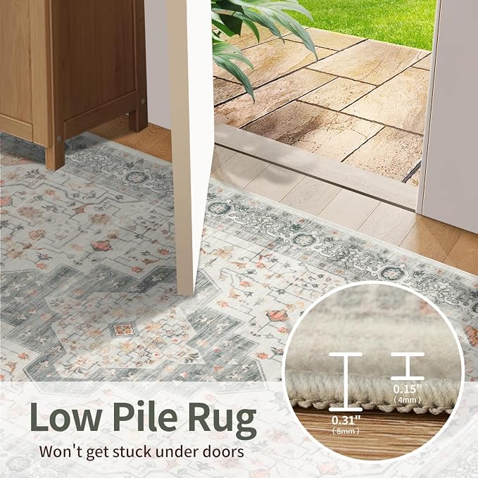 Rugxara Washable Area Rug for Living Room, Vintage Neutral Boho Rugs for Office, Dining Room, Kids Room, Farmhouse, Durable Low Pile Non Slip Carpet for High Traffic Areas, Taupe(4x6ft)
