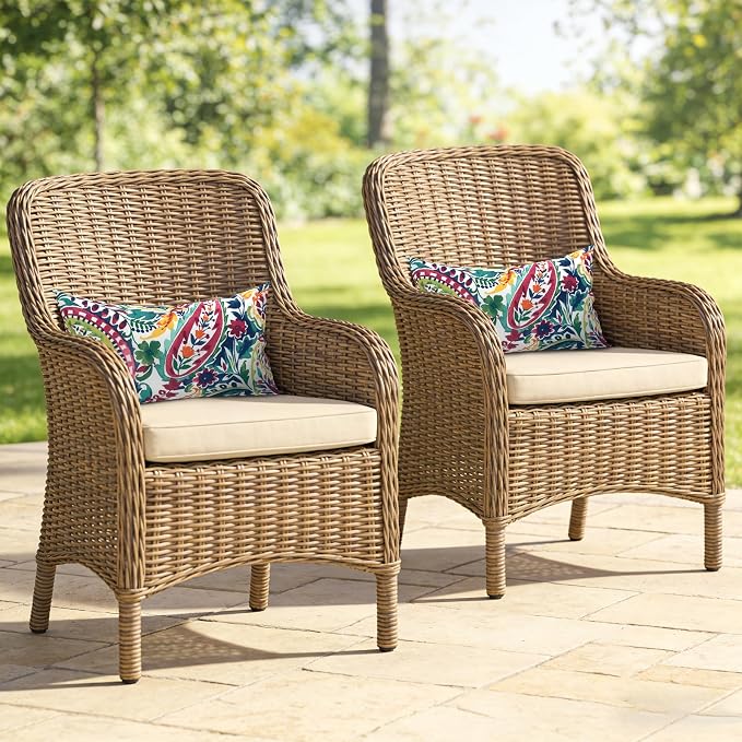 Outdoor Lumbar Pillows, Water Repellent Cushion Pillows 12x20 Inch, Outdoor Pillows with Inserts for Home Garden, Pack of 2, Vigour Paisley