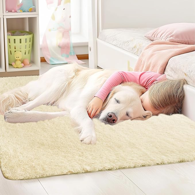 Sour Lemon Area Rugs 9x12 Living Room Bedroom, Large Fluffy Shag Rug | Shaggy Carpet, Soft Plush Furry Bedside Rugs, Anti Slip, Washable Area Modern Rugs Floor Mat for Kids Girls Boys Living Room