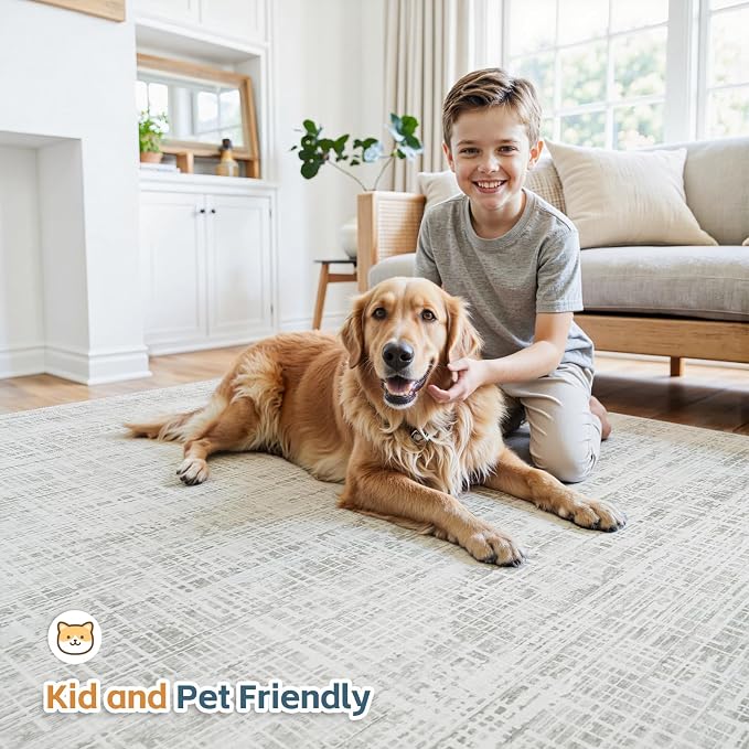 4x6 Area Rugs Washable Rug: Anti-Skid Abstract Modern Living Room Rug Soft Thin Carpets Indoor Floor Non-Shedding Carpet for Bedroom Dining Farmhouse Nursery Home Office (White Gray, 4'x6')