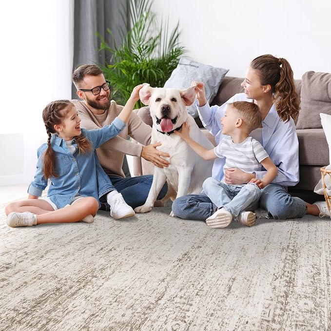 6x9 Area Rugs for Living Room Rug Washable: Modern Rug for Dining Room Bedroom Carpet Non Slip Low Pile 6 by 9 Indoor Abstract Nursery Home Office Beige Ivory