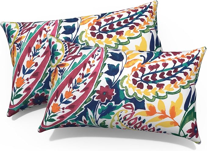 Outdoor Lumbar Pillows, Water Repellent Cushion Pillows 12x20 Inch, Outdoor Pillows with Inserts for Home Garden, Pack of 2, Vigour Paisley