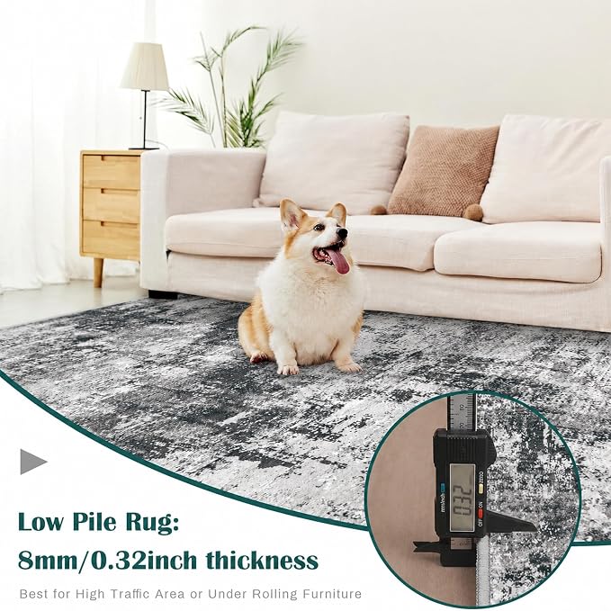 6x9 Area Rug for Living Room: Washable Abstract Soft Rugs Non Slip Modern Stain Resistant Low Pile Carpet for Dining Room Bedroom Nursery Office (Black Grey, 6'x9')
