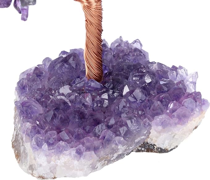 Jovivi Natural Amethyst Healing Crystal Money Tree on Amethyst Cluster Geode Druzy Base Feng Shui Crystals for Home Office Desk Decorations, Wealth, Good Luck