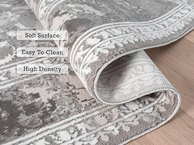 Amber Traditional Floral Area Rug for Living Room, 4x6 Vintage Persian-Inspired Gray Rug, Medium Pile Stain Resistant Carpet for Bedroom, Dining Room or Kitchen (4' x 6', Gray)