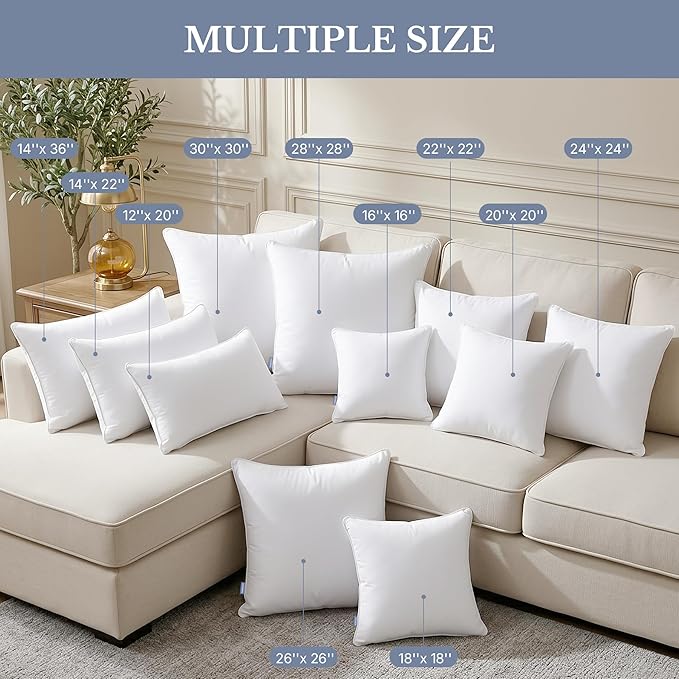 Leeden 24 x 24 Pillow Inserts (Set of 2) - Throw Pillow Inserts with 100% Cotton Cover - 24 Inch Square Decorative Pillows for Sofa, Couch, Bed and Home Decor