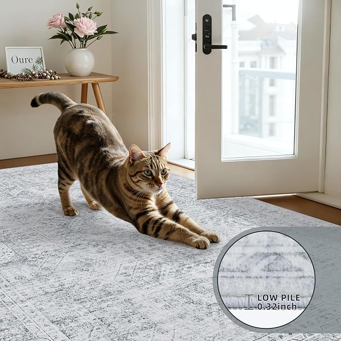 4x6 Area Rugs for Living Room: Vintage Boho Neutral Washable Rug Indoor Soft Large Area Rug Carpet for Bedroom Nursery Farmhouse Dining Room Office Floor Non-Slip Low Pile Under Table Rug Gray