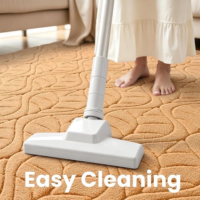 Macgace Soft Area Rug for Girls Bedroom, 4x6 Apricot Tan Shag Rugs | Washable Non-Slip Backing Medium Pile Modren Fuzzy Carpet for Kids Room, Classroom, Living Room, Dorm
