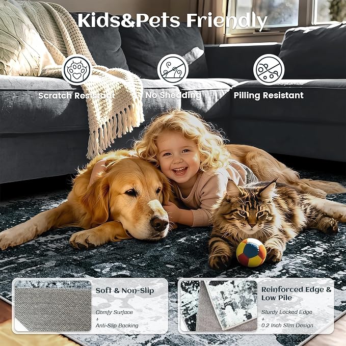 5x7 Rugs for Living Room - Modern Abstract Washable Rug, Ultra Soft Non Slip Low Pile Large Rugs, Floor Carpet for Bedroom Dining Room Office Laundry Nursery Home(Black)