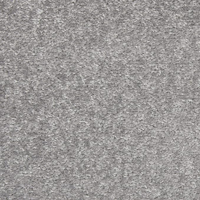 Nourison Home Nourison Essentials Silver Grey 10' x 14' Area Rug - Easy Clean, Non Shedding, Bed Room, Living Room, Dining Room, Kitchen (10' x 14')