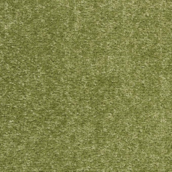 Nourison Home Nourison Essentials Green 4' x 6' Area Rug - Easy Clean, Non Shedding, Bed Room, Living Room, Dining Room, Kitchen (4' x 6')