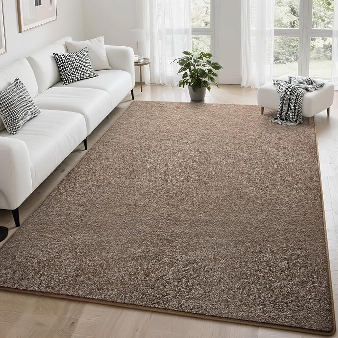 Tepook 5x7 Brown Area Rugs for Living Room Bedroom | Modern Washable Non-Slip Minimalist Rug, Indoor Memory Foam Carpets for Boys Girls Room Home Decor