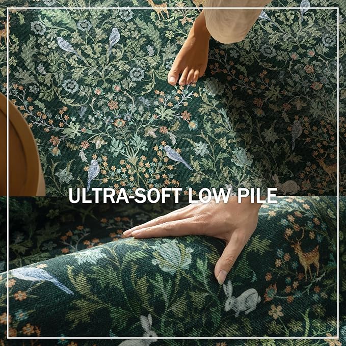 2x3 Washable Rugs for Entryway Indoor: Small Area Rug Door Mat Entrance Non-Slip Low Pile Soft Throw Rug for Kitchen Front Door Indoor Entrance Bedside Entry Kids Room