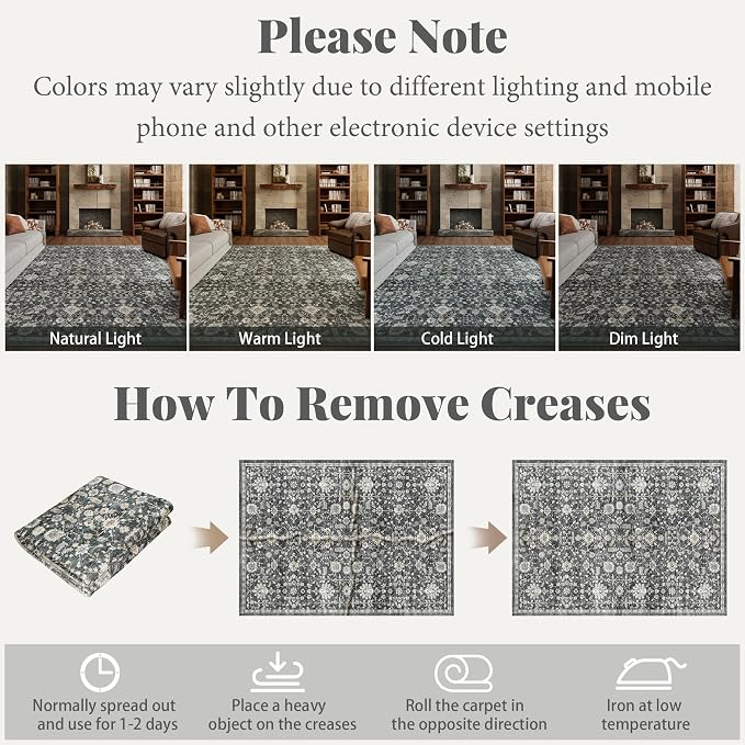 Machine Washable Entryway Small Area Rugs: Soft Non-Slip Low Pile Door Mat Indoor Entrance 2x3 ThrowRug for High-Traffic Areas Kitchen, Hallway, Farmhouse Decor