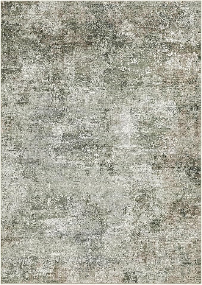 Tortania Area Rug Living Room Rugs - 5x7 Washable Large Soft Neutral Boho Moroccan Bohemian Farmhouse Rug Indoor Floor Carpet for Bedroom Under Dining Table Home Office Decor - Olive Brown