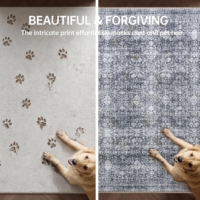 Sasttie 3x5 Rug, Ultra-Soft Washable Rug, Low Pile Foldable Thin Carpets with Non-Slip Backing, Skin-Friendly Stain Resistant Carpet for Living Room, Bedroom, Kitchen, Dorm, 3x5, Black Grey