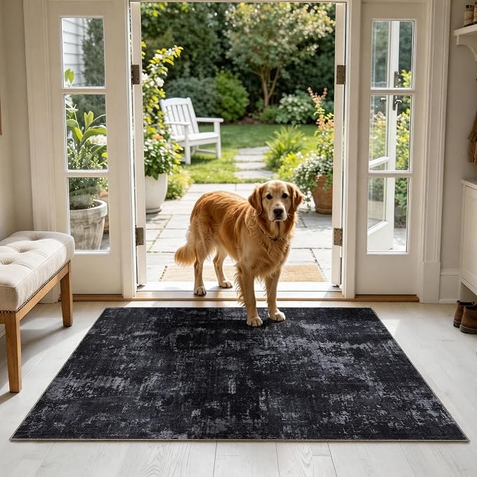 Sasttie 3x5 Area Rug for Entryway, Washable Modern Abstract Small Carpet for Living Room Bedroom Door-mat, Soft Entry Rug with Non-Slip Backing, Black and Grey