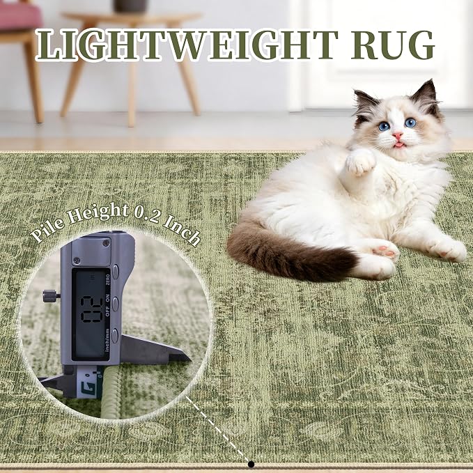 Washable Rugs 5x7, Vintage Medallion Carpet for Living Room, Sage Green | TTelephant Area Rug for Bedroom and Dining Room, Low Pile Rug with Non-Slip Silicone Backing, Non-Shedding Stain Resistant