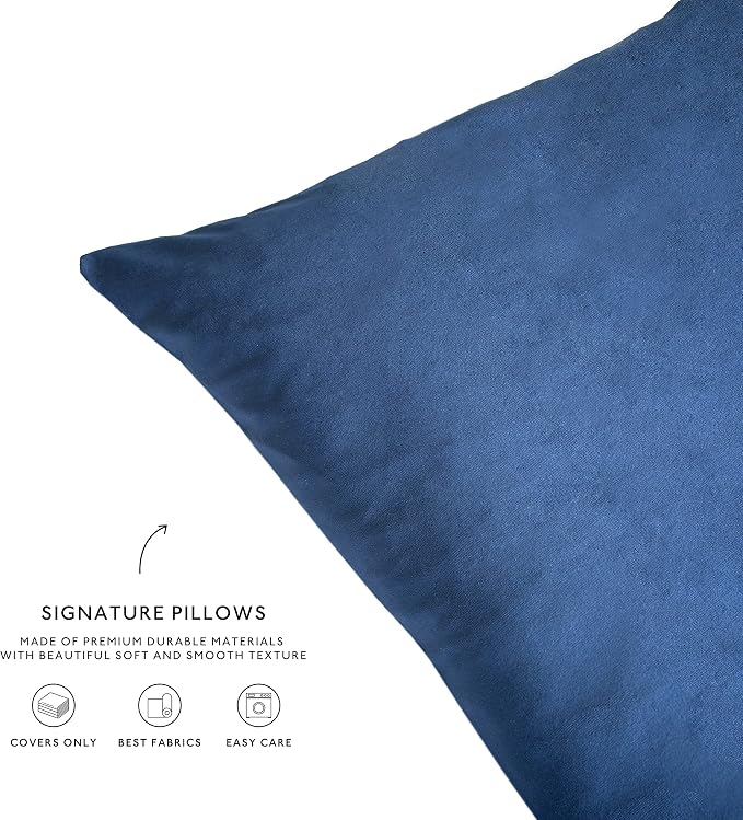 MONDAY MOOSE Decorative Throw Pillow Covers Cushion Cases, Set of 4 Soft Velvet Modern Designs, Mix and Match for Home Decor, Pillow Inserts Not Included (12x20 inch, Blue/Beige)