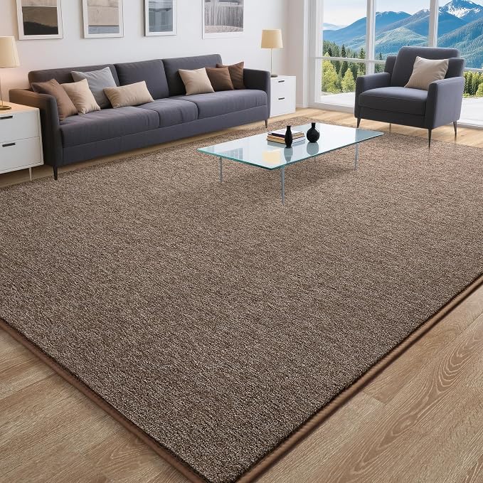 Tepook 5x7 Brown Area Rugs for Living Room Bedroom | Modern Washable Non-Slip Minimalist Rug, Indoor Memory Foam Carpets for Boys Girls Room Home Decor