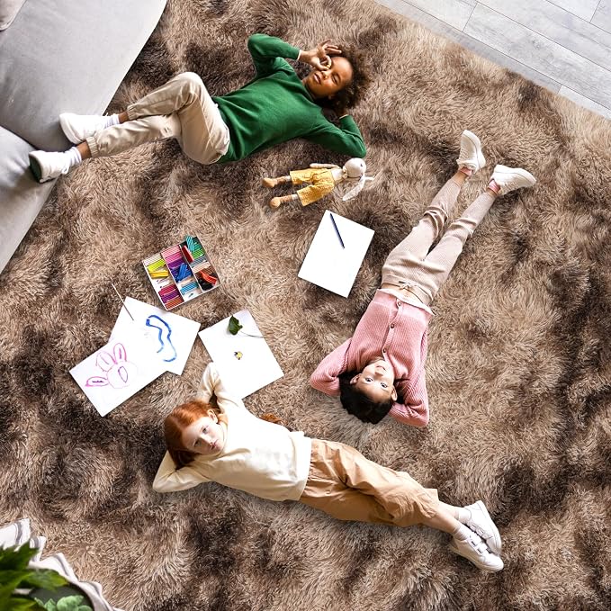 Dssimo Brown Rug for Bedroom Living Room, 5x7 Soft Shaggy Area Rugs | Large Plush Furry Non-Slip Brown and Cream Rug for Nursery Kids Room Dorm Room Home Decor, Indoor Plush Floor Carpet