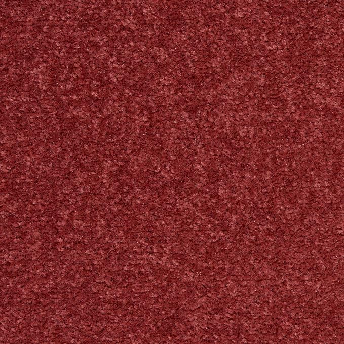 Nourison Home Nourison Essentials Brick Red 6' x Round Area Rug - Easy Clean, Non Shedding, Bed Room, Living Room, Dining Room, Kitchen (6' x Round)