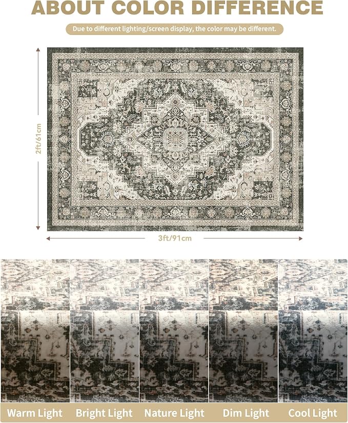 Roxstand 2x3 Washable Entryway Area Rug, Black/Beige | Low-Pile Carpet, Non-slip Backing, Stain Resistant, Rug for Kitchen, Laundry Room, Entryway, Vintage Design