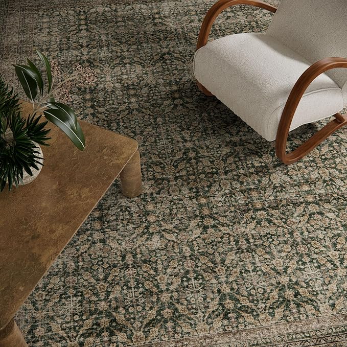 Machine Washable Rugs for Living Room: 6x9 Area Rugs Boho Vintage Rugs Stain Resistant Non Slip Low Pile Soft Lightweight Carpet for Bedroom Kitchen Dining Room Nursery Kids Room Farmhouse