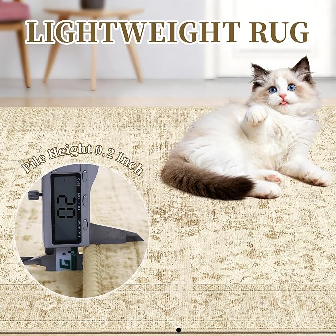 Neutral 4x6 Area Rug, Beige Vintage Boho Carpet for Bedroom,Thin | for Living Room and Nursery, Washable Low Pile Indoor Rug with Non-Slip Silicone Backing, Non-Shedding