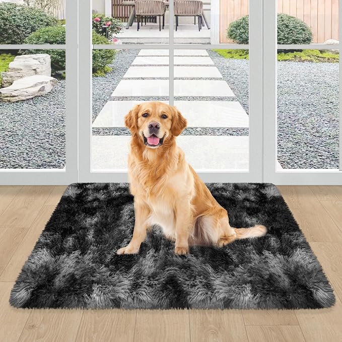 2x3 ft Shaggy Small Black Rug, Tie Dye Soft Fluffy Carpet Bedside Fuzzy Area Rug Non-Slip Bottom for Nursery Kids Bedroom Door Indoor Dog Mat Living Room Home Decor Aesthetic