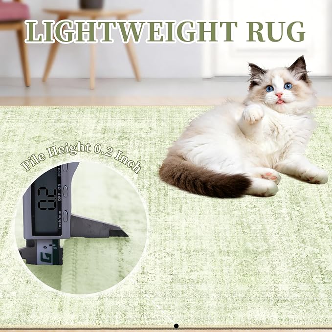8x10 Area Rugs for Living Room, Neutral Vintage Boho Carpet, Light Green | TTelephant Washable Low Pile Indoor Rug for Bedroom and Nursery with Non-Slip Silicone Backing, Non-Shedding