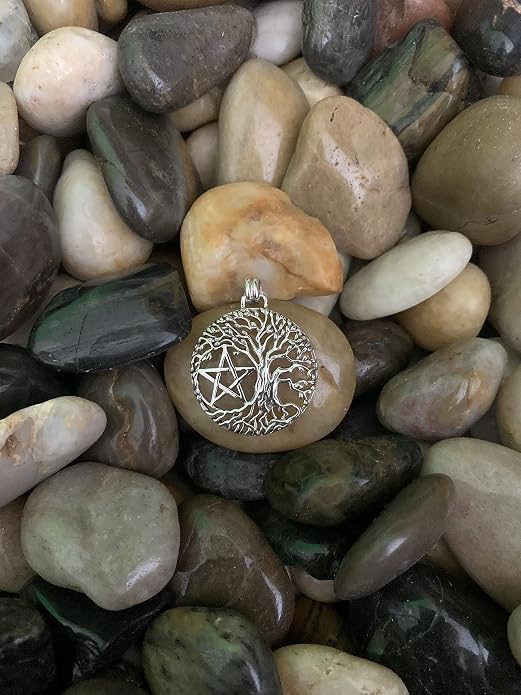 Jewelry Trends Sterling Silver Pentacle Tree of Life Wiccan Pendant Necklace 18"