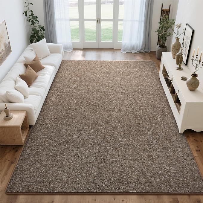 Tepook 5x7 Brown Area Rugs for Living Room Bedroom | Modern Washable Non-Slip Minimalist Rug, Indoor Memory Foam Carpets for Boys Girls Room Home Decor